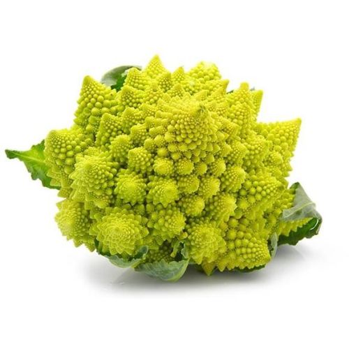 FRISCO FRESH Kalafior Romanesco