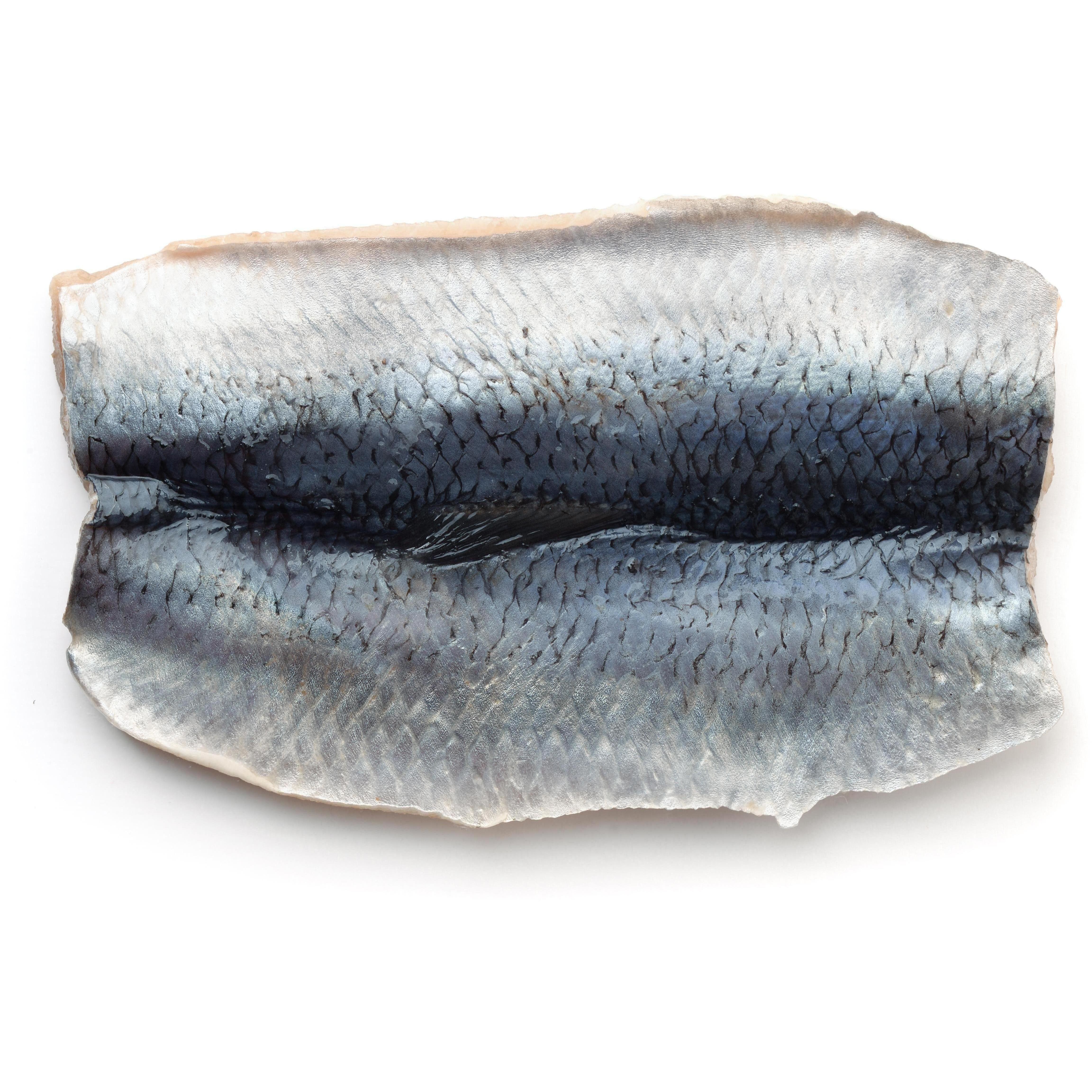 FRISCO FISH Śledź płat marynowany (245g-455g)