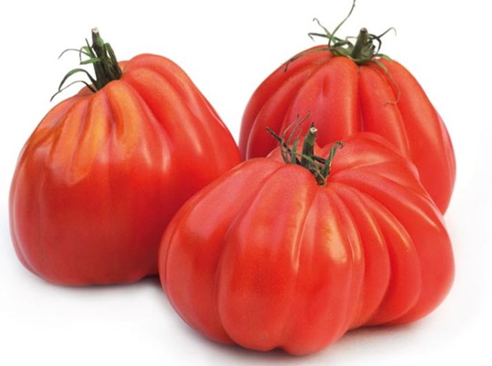 FRISCO FRESH Pomidory Bawole Serca (Rebelion) 2-4 szt.