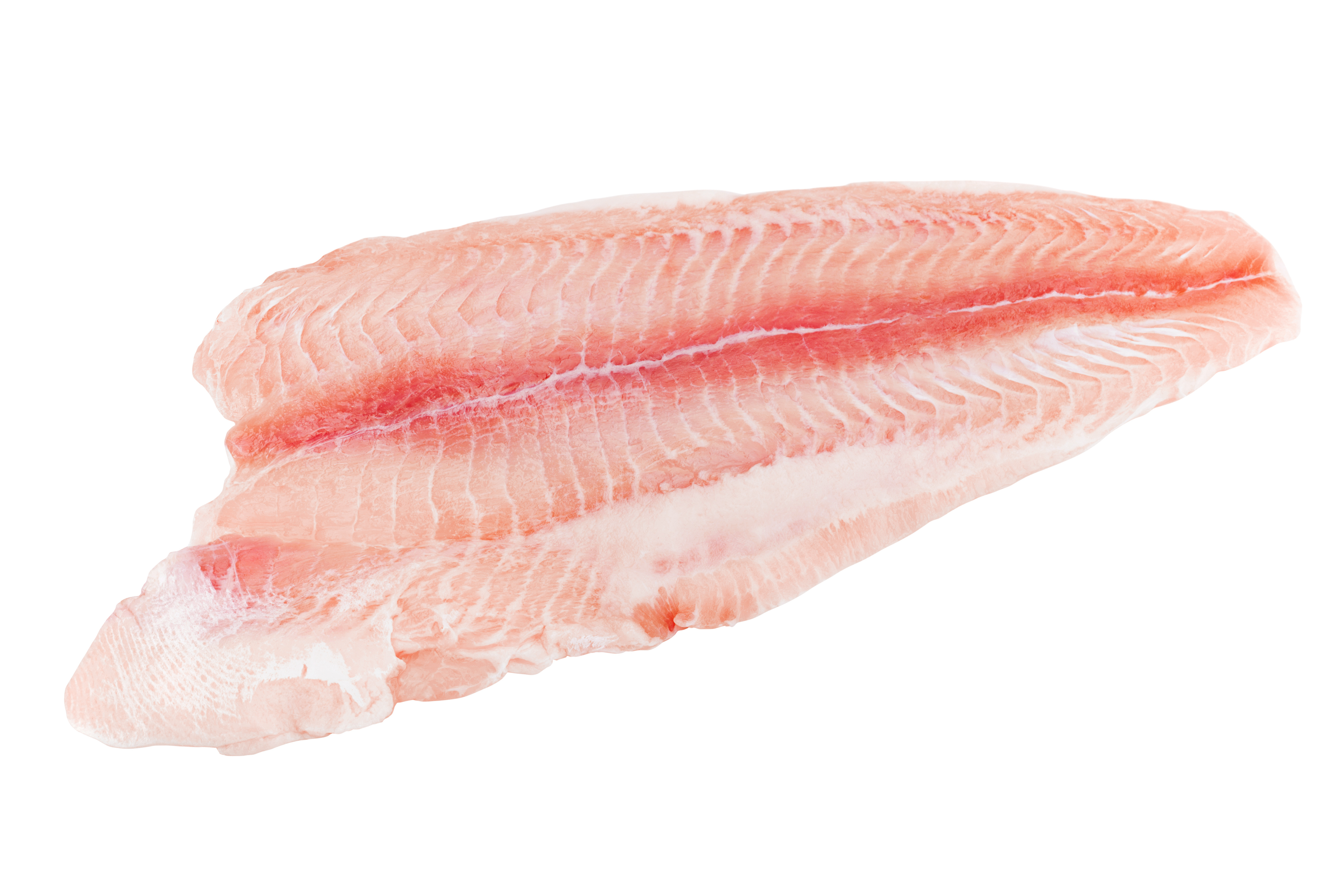 FRISCO FISH Sum Afrykański filet ze skórą (245g-455g)