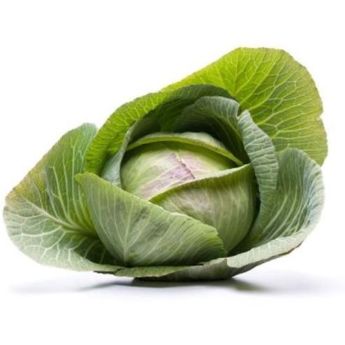 FRISCO ORGANIC Kapusta BIO 1500g (1200g - 1800g)