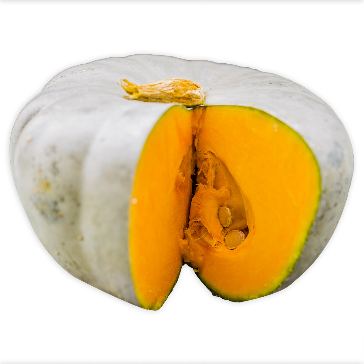 FRISCO FRESH Dynia biała Nelson 1szt. (2-4kg)