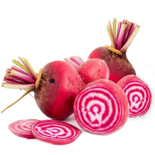 FRISCO FRESH Buraki Chioggia