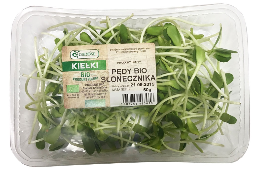CHEŁMIŃSKI Pędy słonecznika