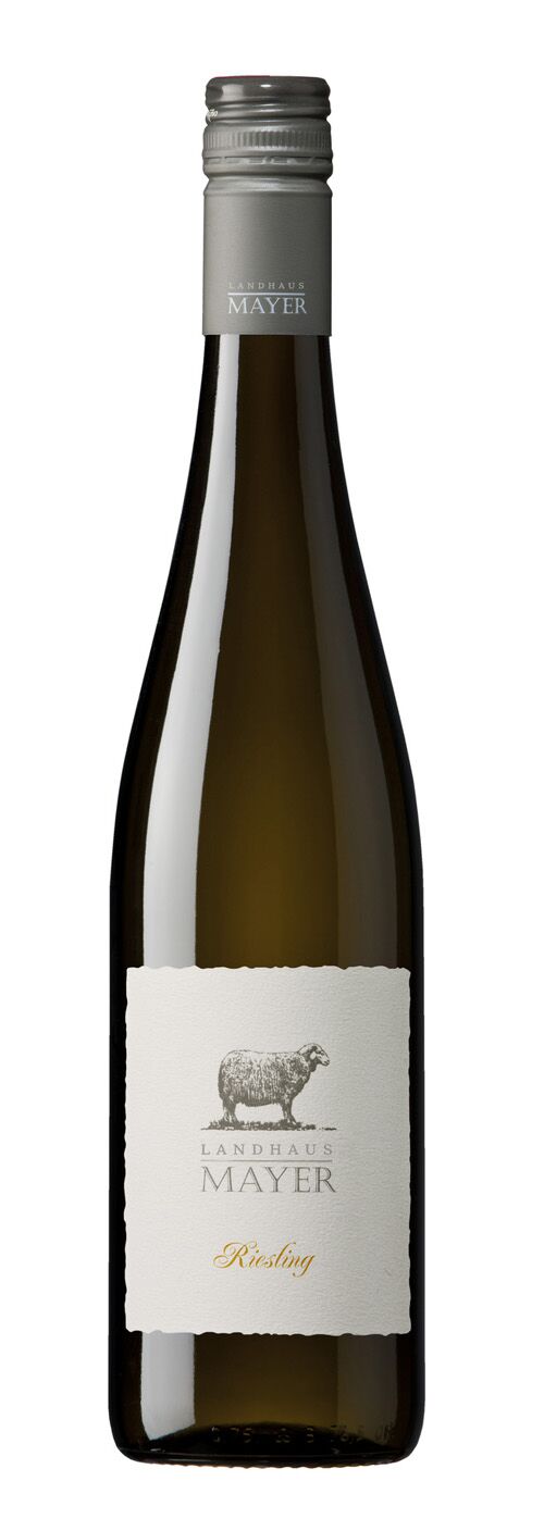 WEINGUT MAYER Riesling