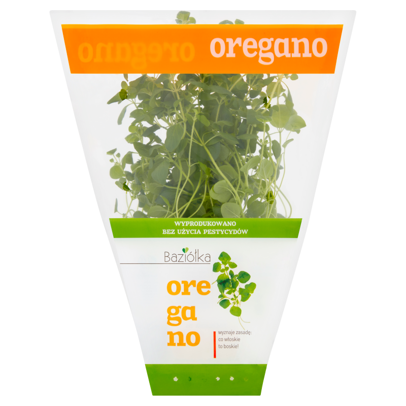 BAZIÓŁKA Oregano