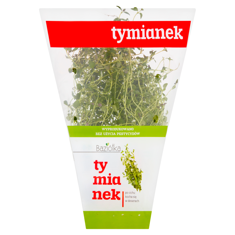 BAZIÓŁKA Tymianek frisco.pl