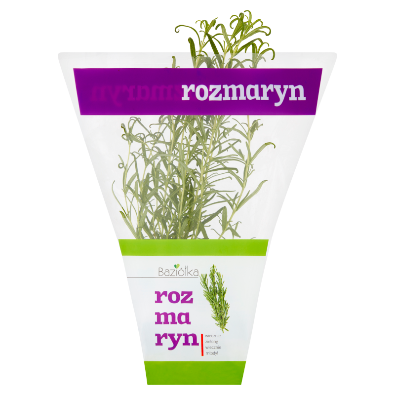 BAZIÓŁKA Rozmaryn