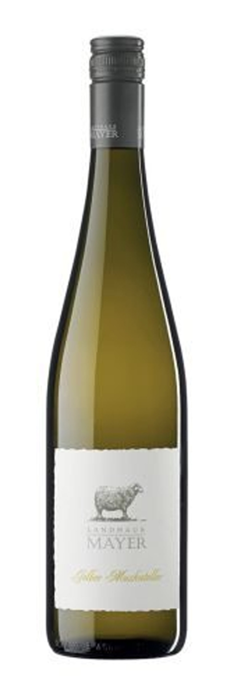 WEINGUT MAYER Wino Landhaus Mayer Gelber Muskateller