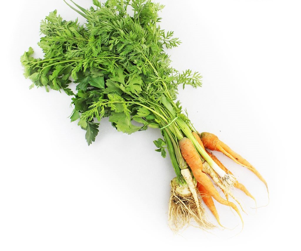 FRISCO ORGANIC Włoszczyzna pęczek BIO