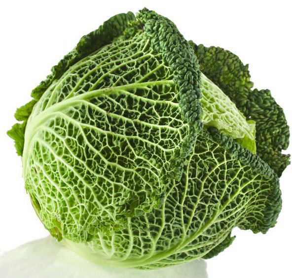 FRISCO ORGANIC Kapusta włoska BIO
