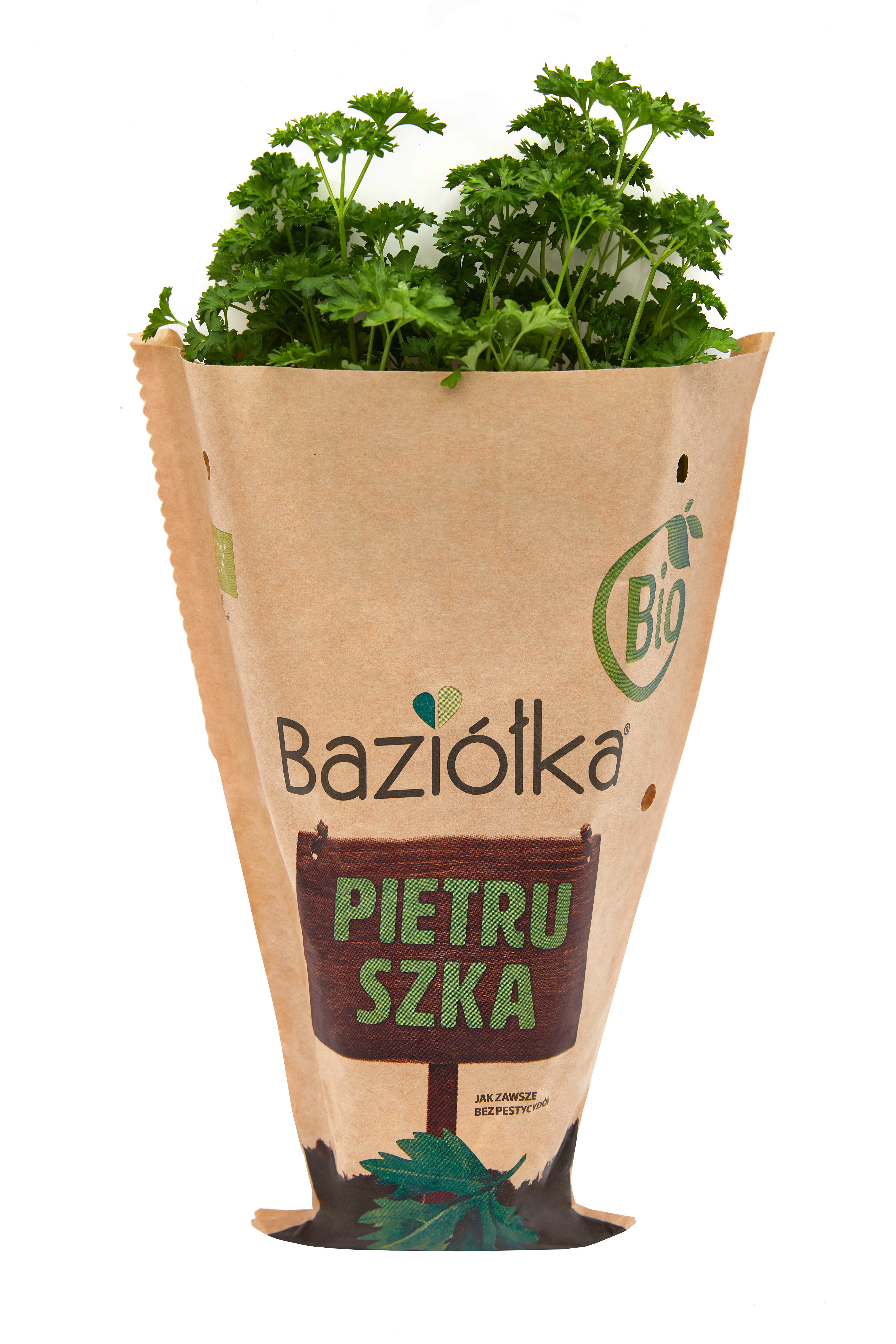 BAZIÓŁKA Pietruszka BIO frisco.pl