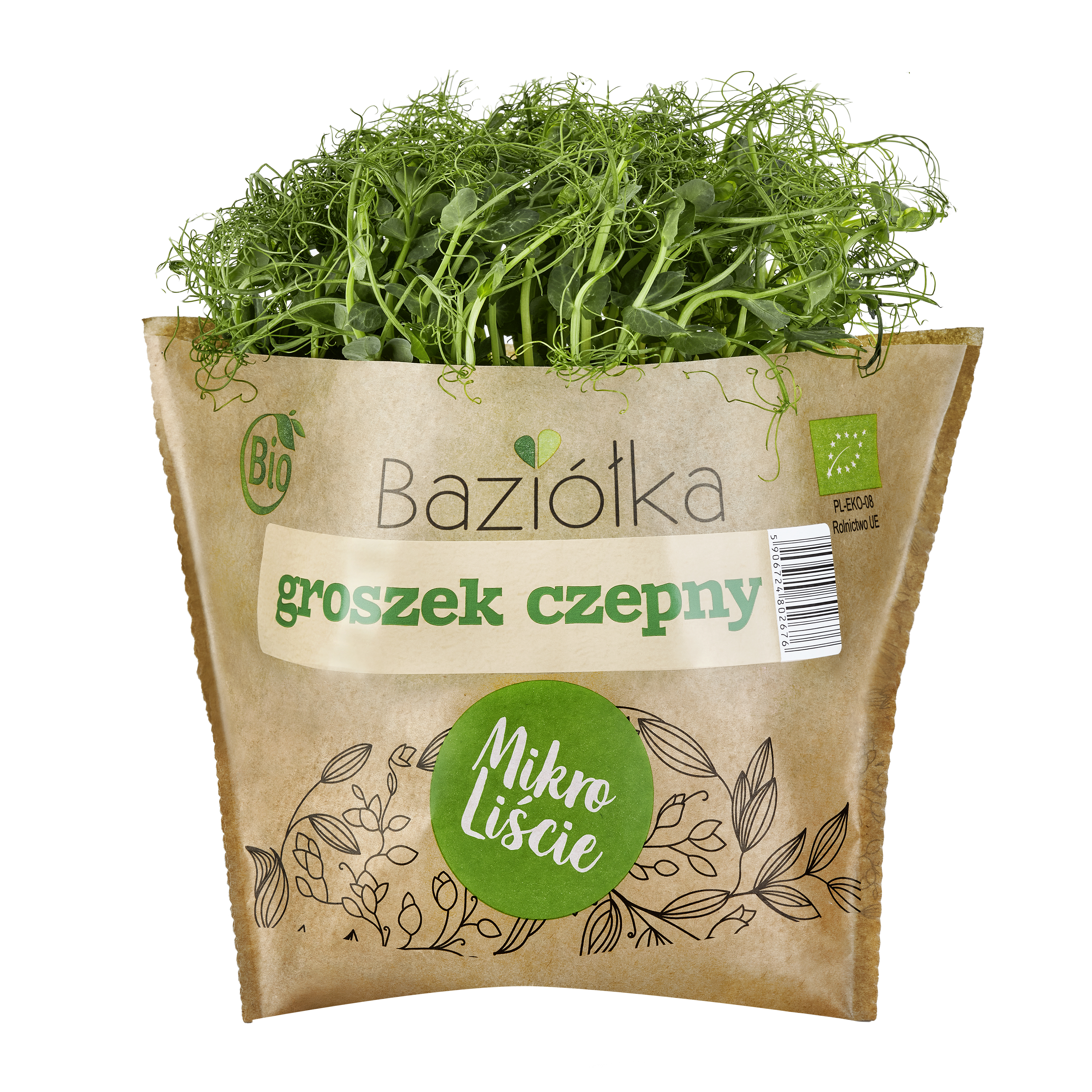 BAZIÓŁKA Mikro liście- groszek czepny BIO