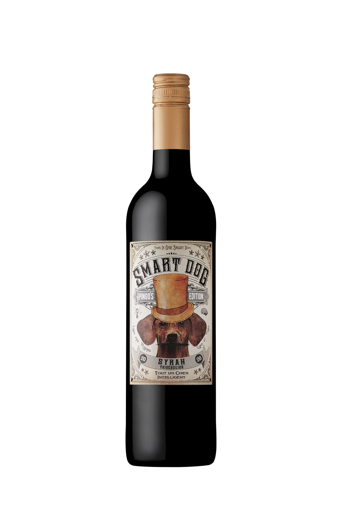 SMART DOG Shiraz