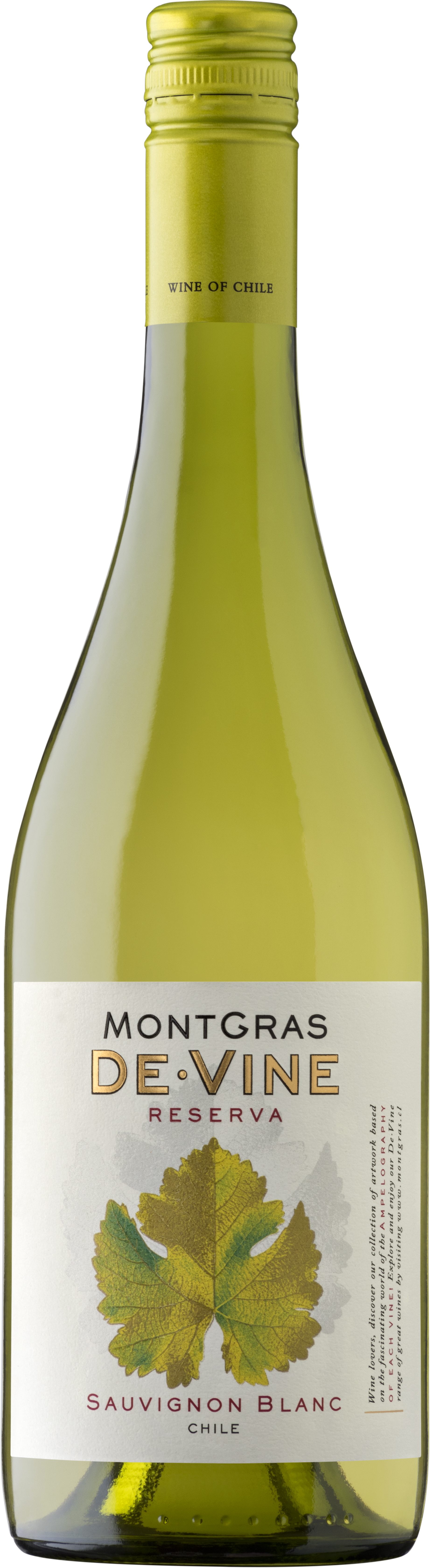 MONTGRAS De Vine Sauvignon Blanc