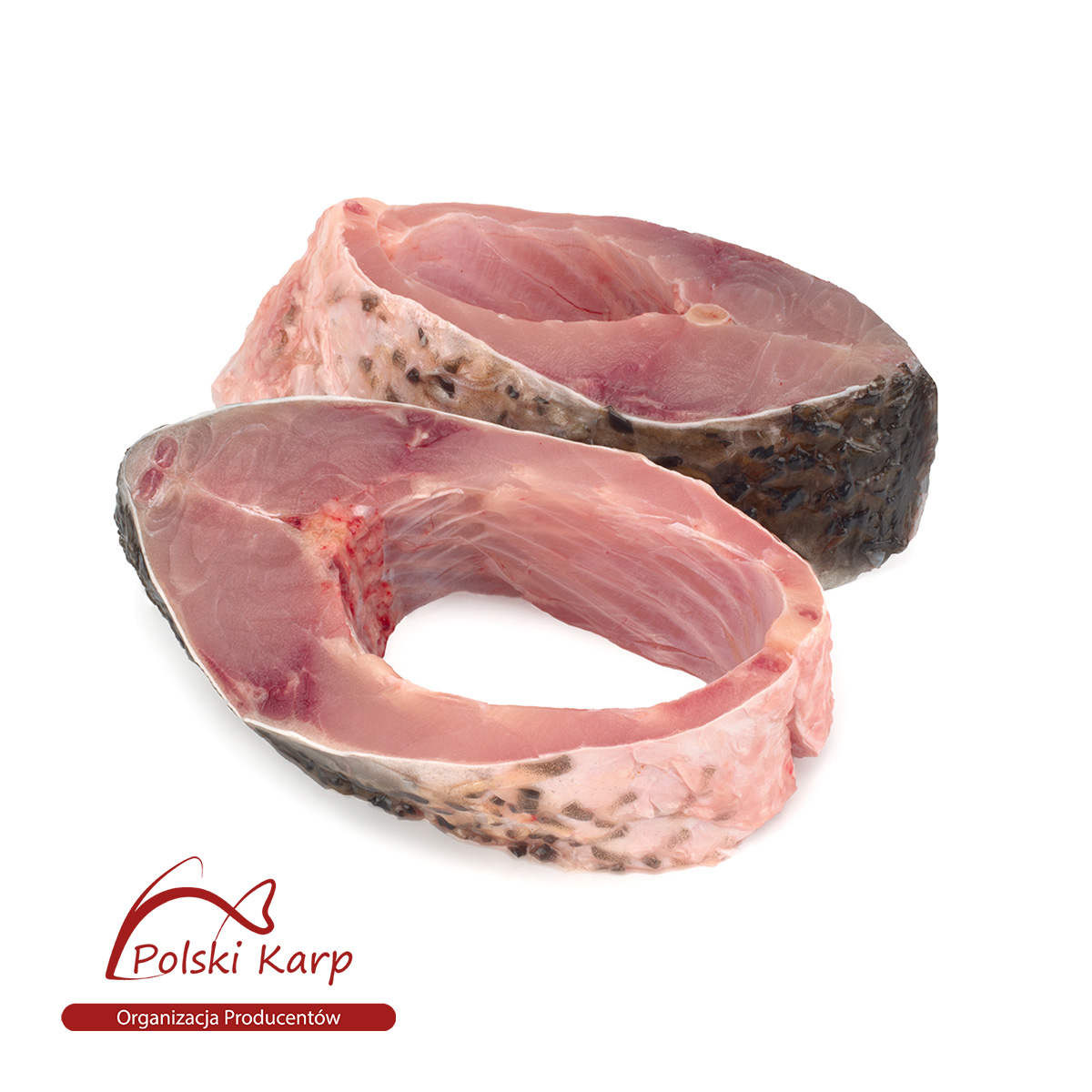 POLSKI KARP Karp dzwonko