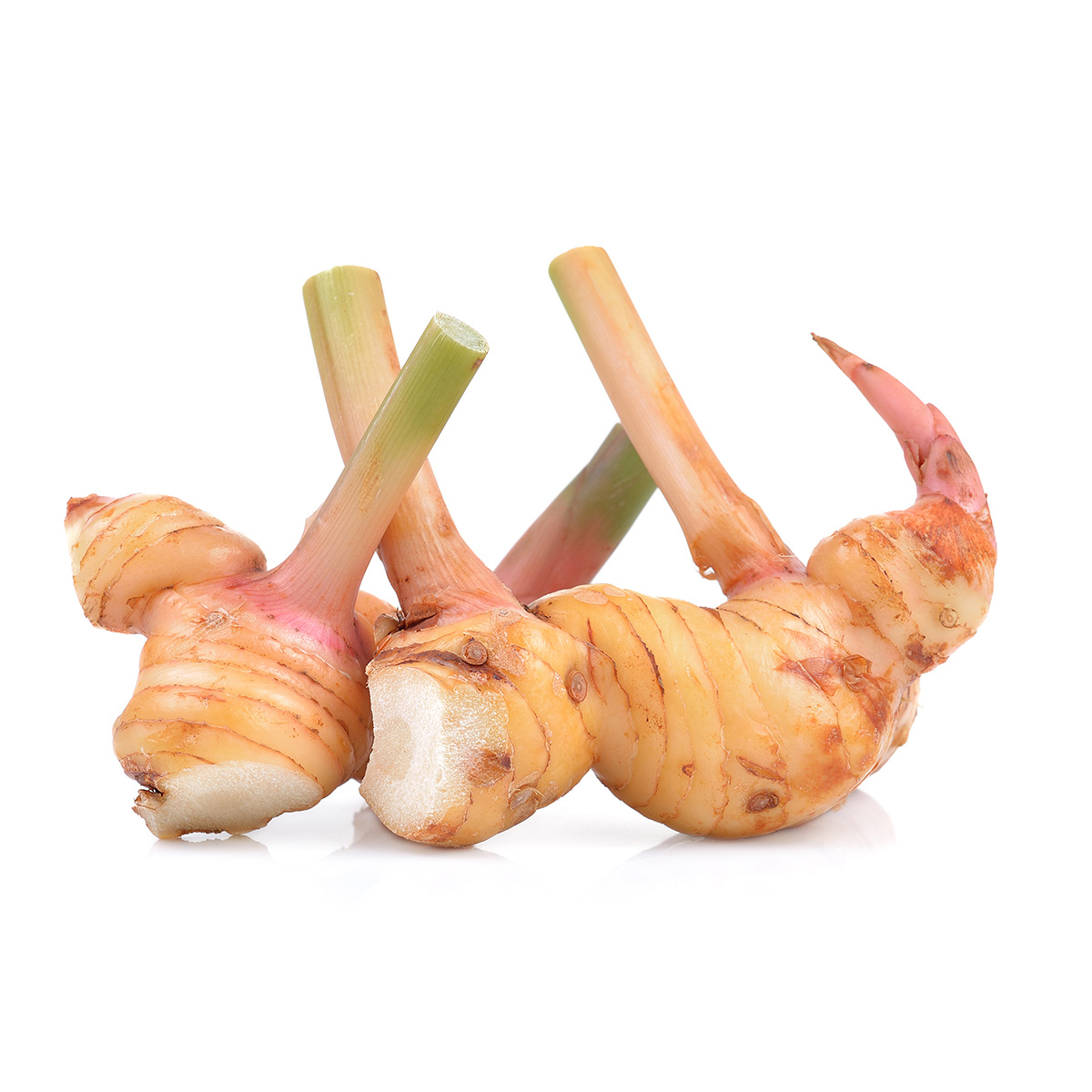 FRISCO FRESH Laos (galangal)