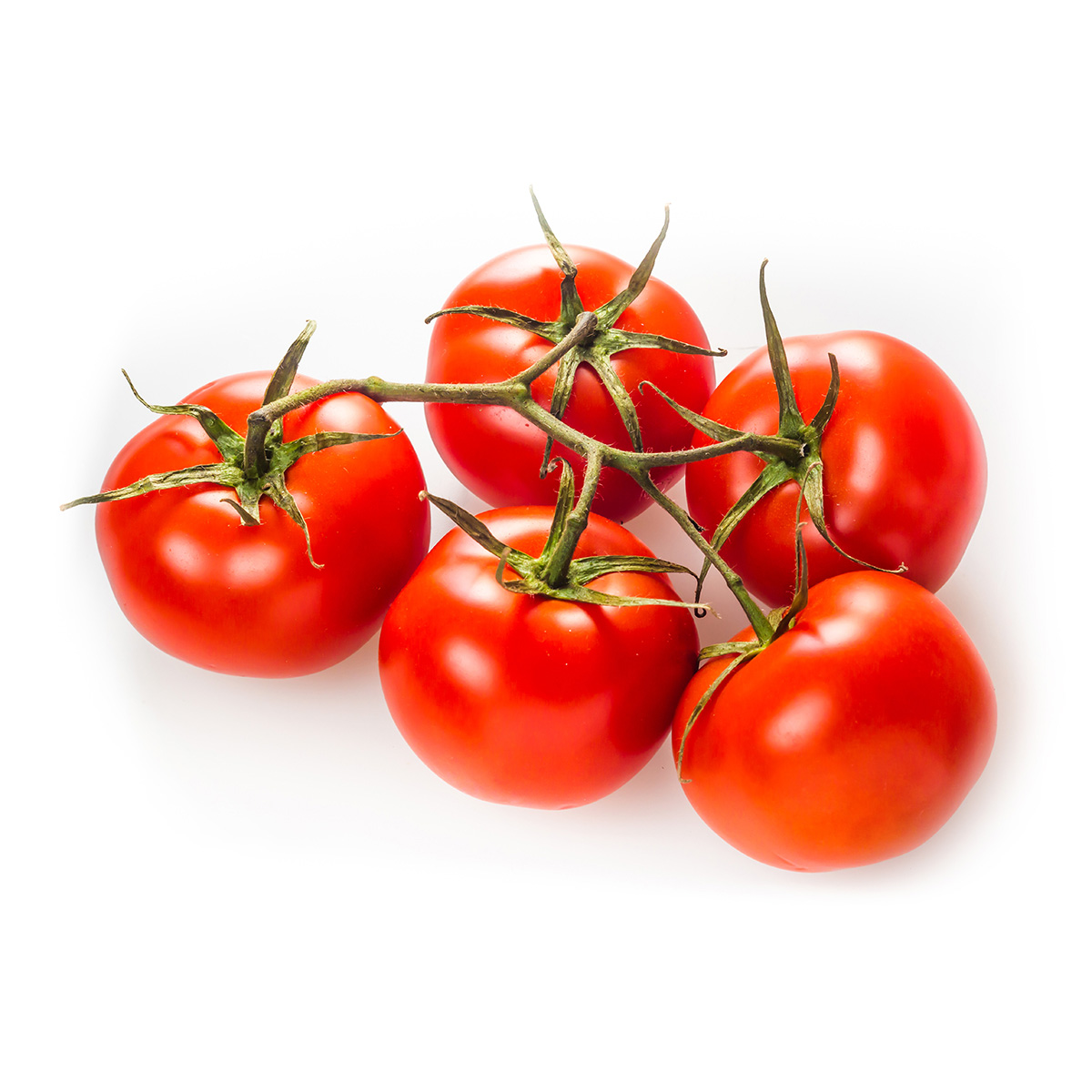 FRISCO ORGANIC Pomidor gałązka BIO