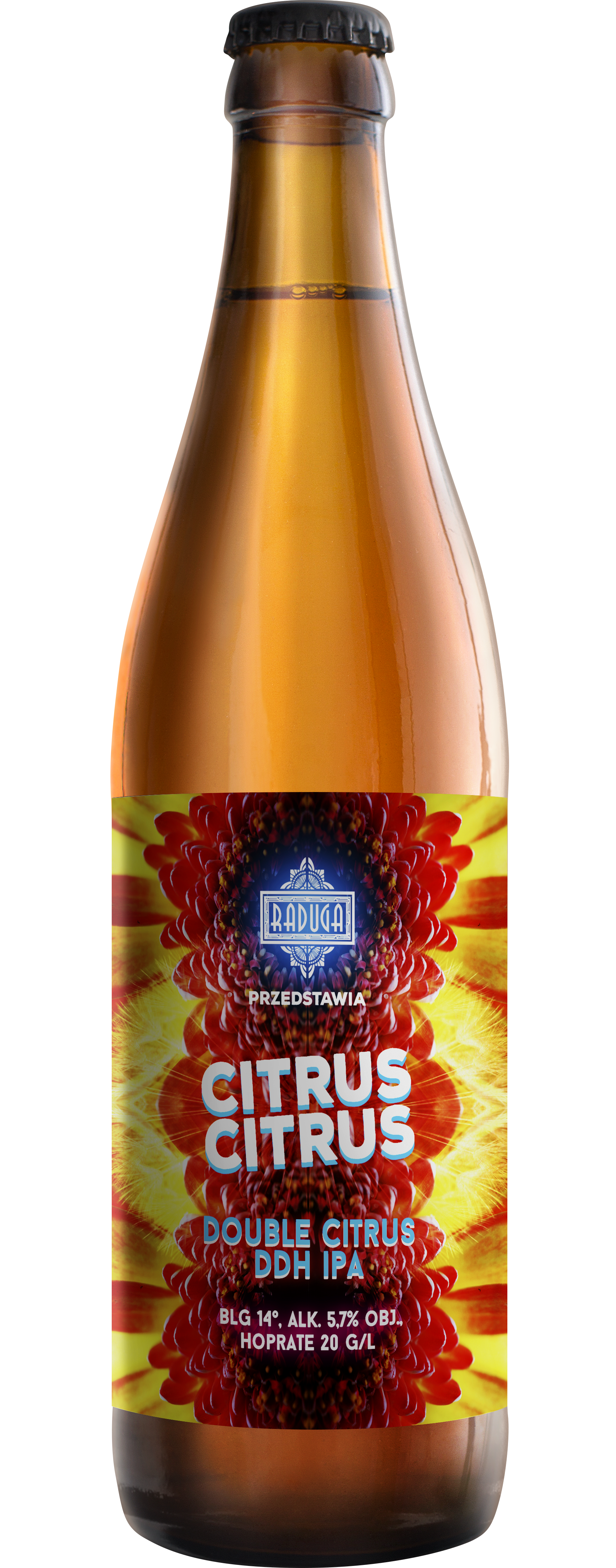 RADUGA Citrus Citrus Piwo (butelka bezzwrotna)