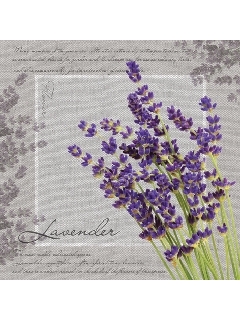 TETE Á TETE Serwetki 33x33 cm 20 szt.