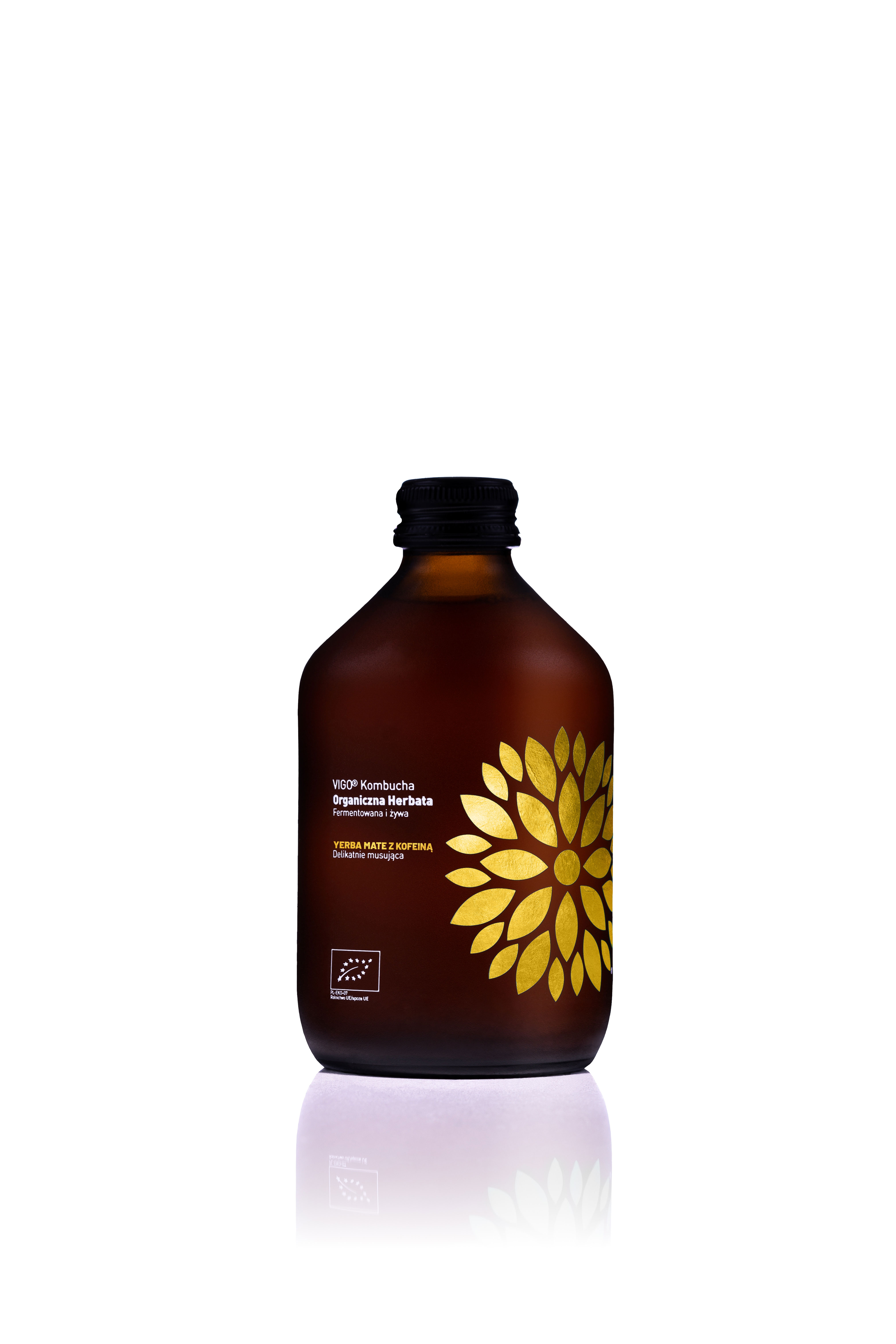 VIGO Kombucha Yerba Mate BIO