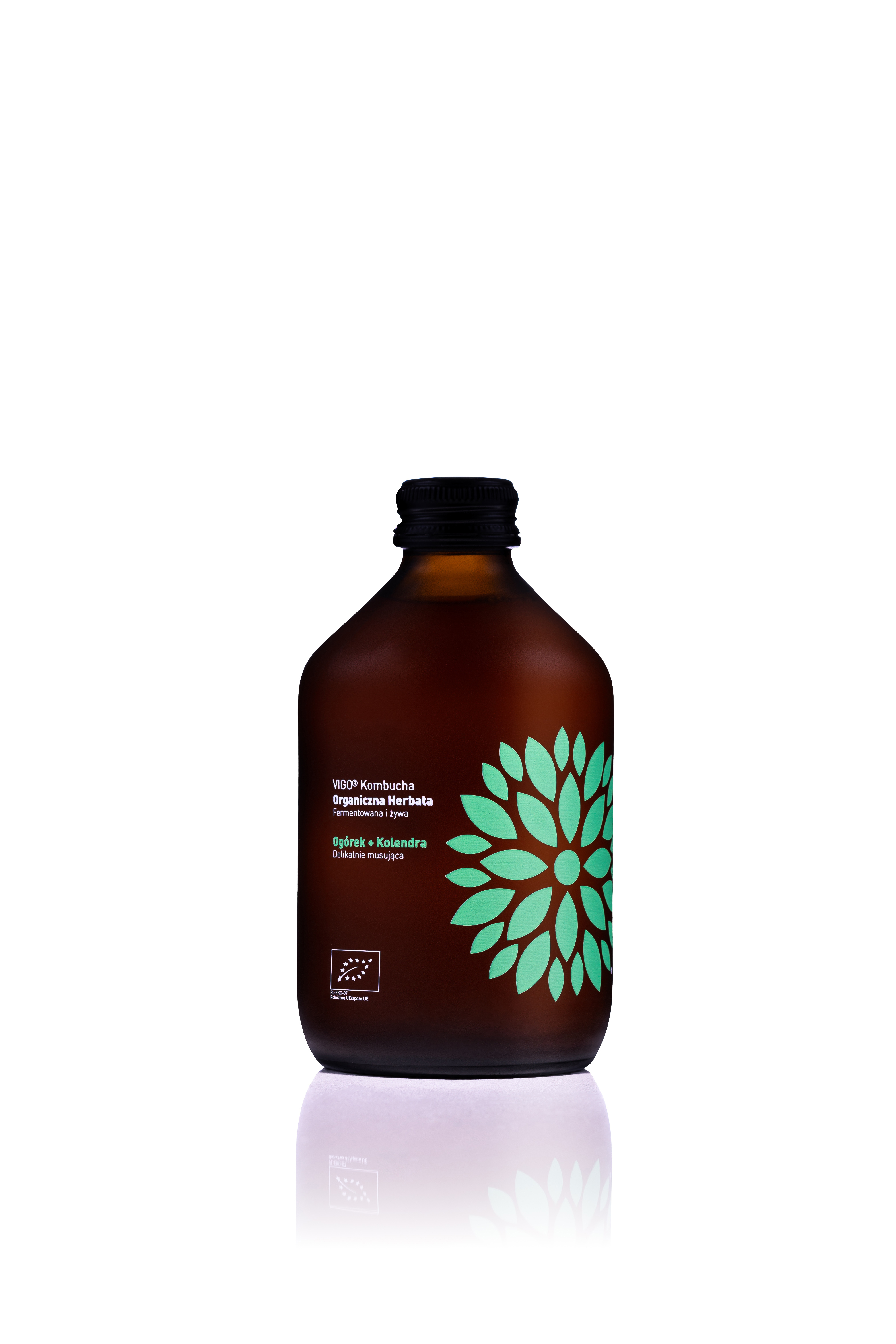 VIGO Kombucha z ogórkiem i kolendrą BIO