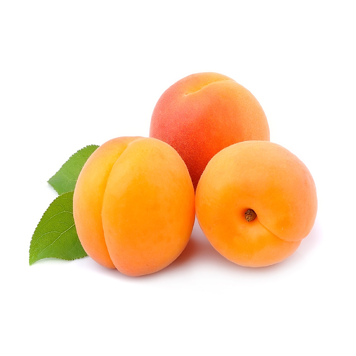 FRISCO ORGANIC Morela BIO