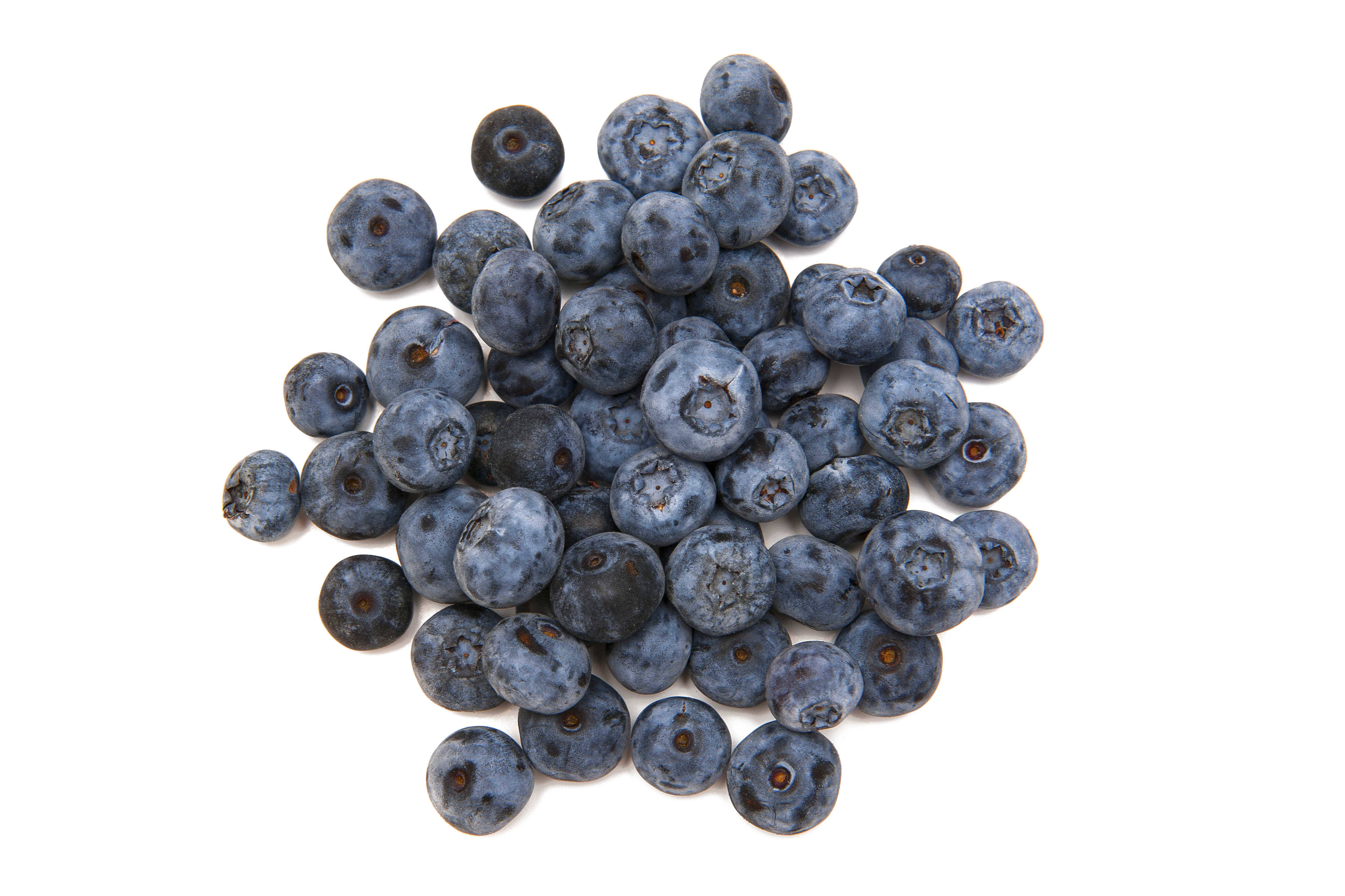 FRISCO ORGANIC Borówka amerykańska premium BIO