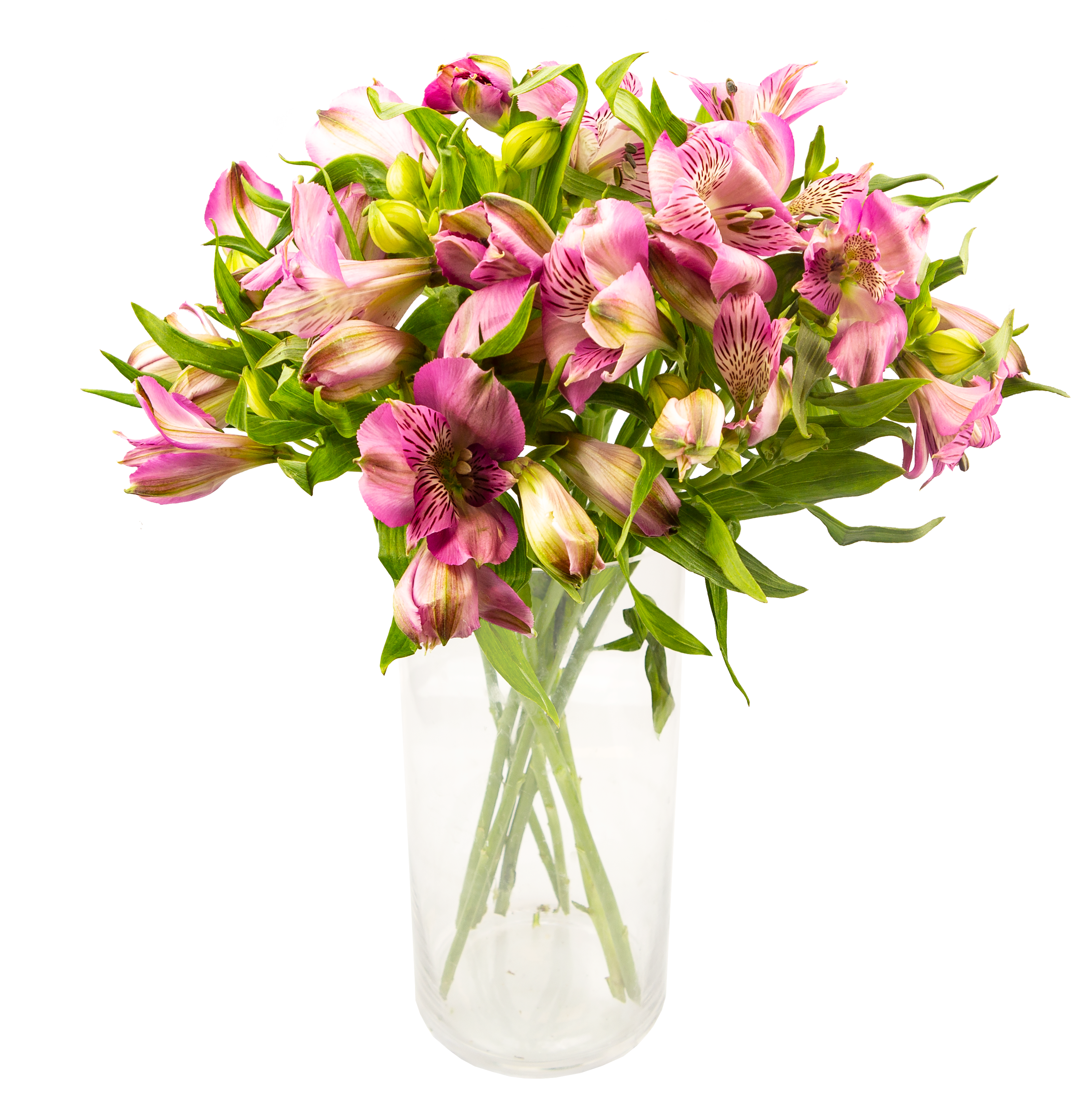 MIMEA Alstromeria Różowa kwiatki x 8
