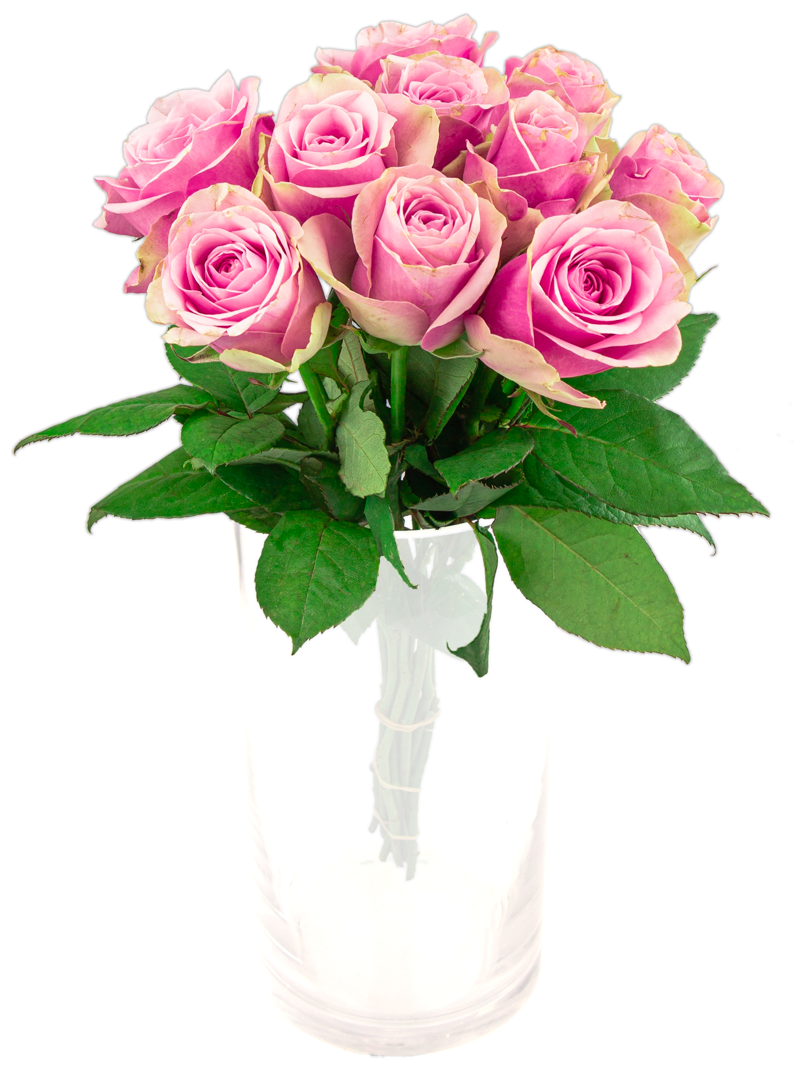 MIMEA Róże Różowe 'Belle Rose' bukiet kwiatów x 10