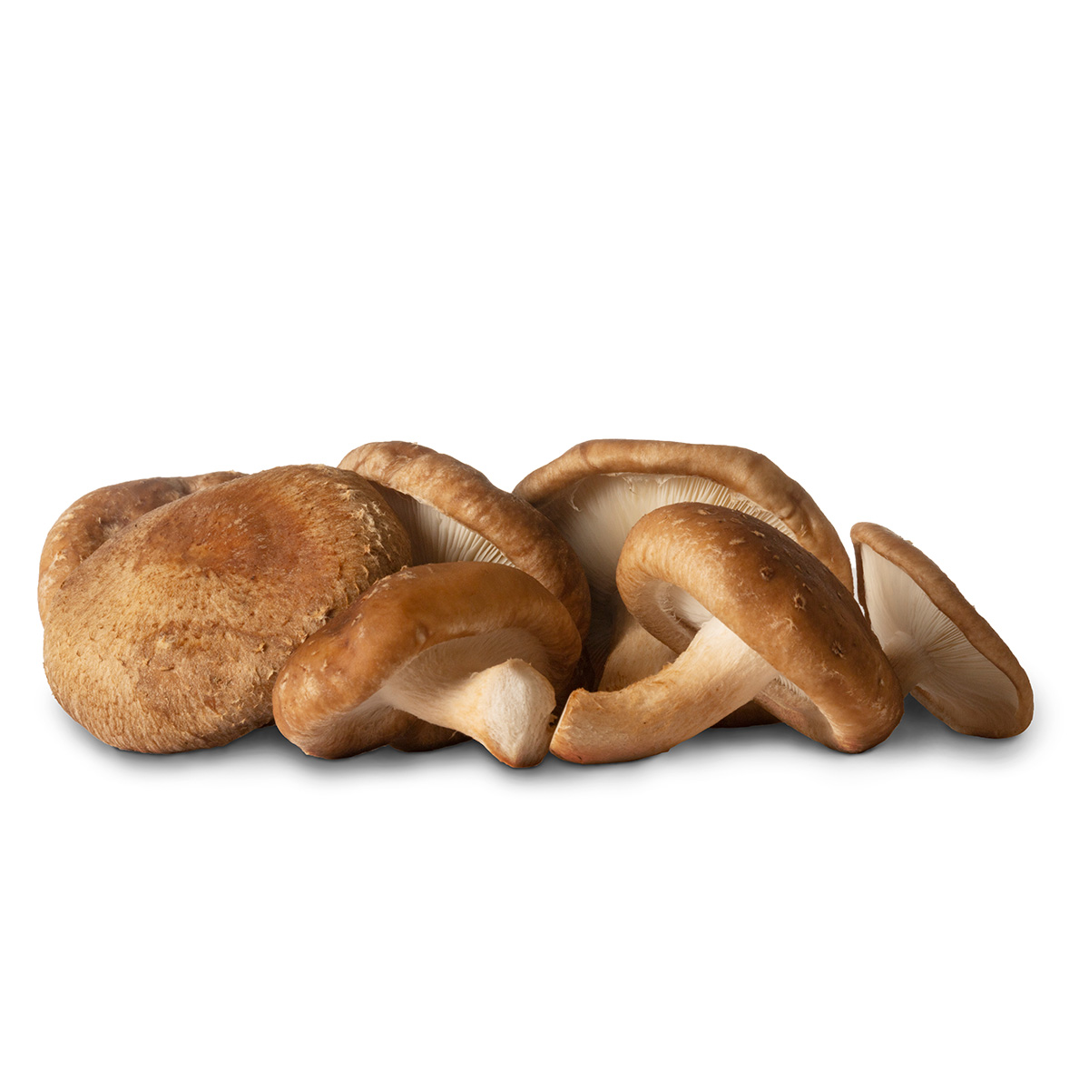 FRISCO FRESH Grzyby shitake