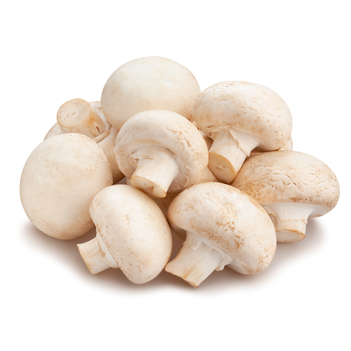 FRISCO FRESH Pieczarki białe mini