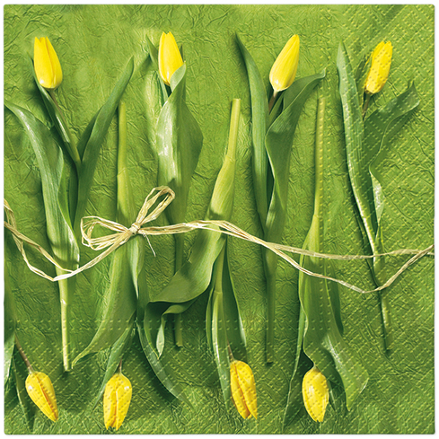 PAW DECOR COLLECTION Serwetki z bibuły 3-warstwowej Świeże Tulipany 20 szt.