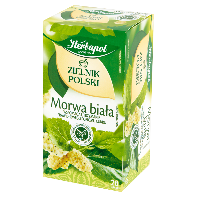 ZIELNIK POLSKI Morwa biała 20 torebek ex.