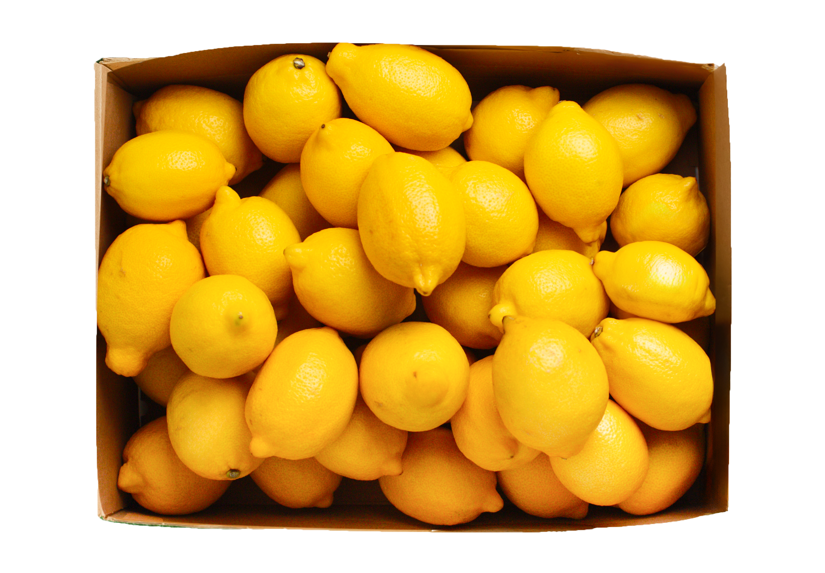 FRISCO FRESH Owocowy Box cytryny
