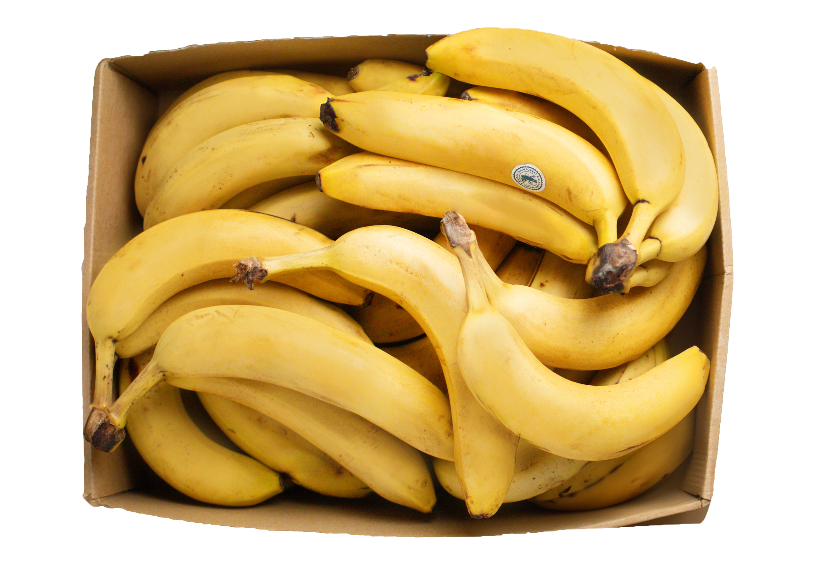 FRISCO FRESH Owocowy Box banany
