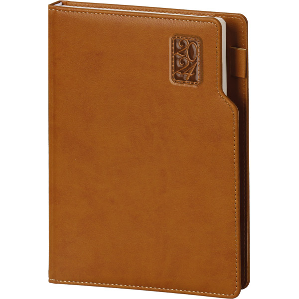 Agenda Basaksehir