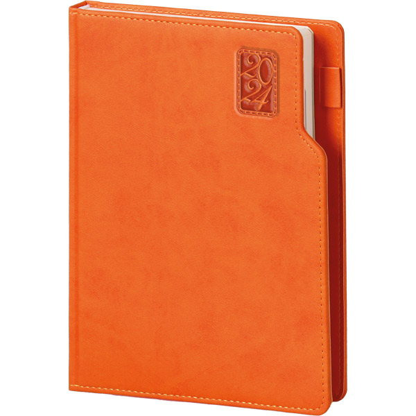 Agenda Basaksehir