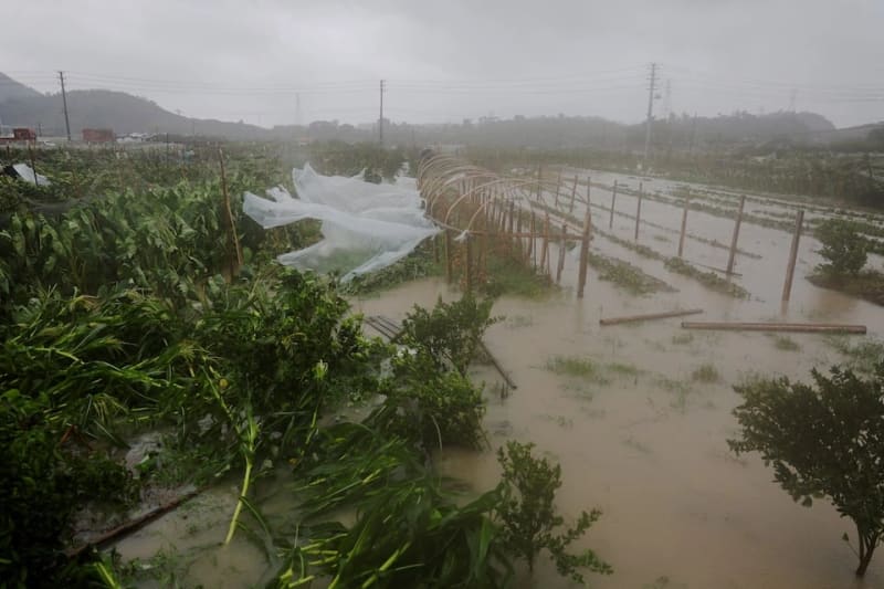 Typhoon Bavi Impact: चीन-ताइवान में 'बावी' तूफान का कहर, 20 लाख लोग सुरक्षित; 134 घायल