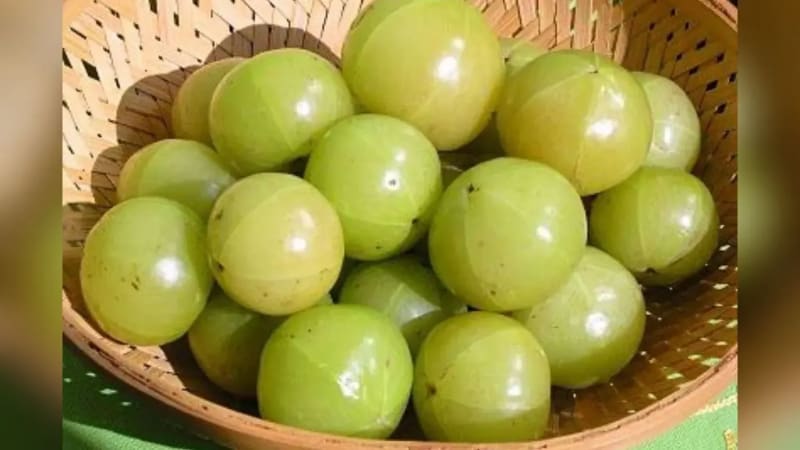 Amla Storage Tips: आंवला महीनों तक नहीं होगा खराब, स्टोर करने के लिए अपनाएं 5 आसान तरीके