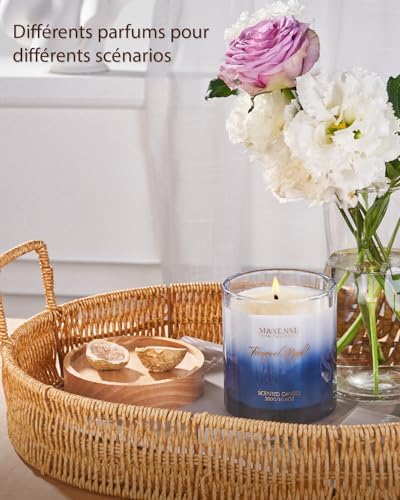 Vue 5 de Msense Eucalytus Bougies Parfumees