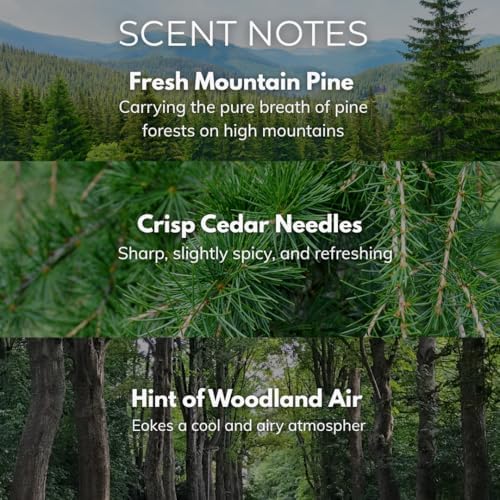 Vue 3 de Bougie En Pin Oz