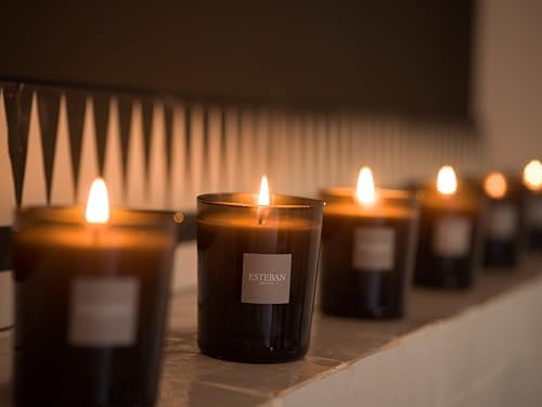 Vue 6 de Esteban Bougie Parfumee Figue