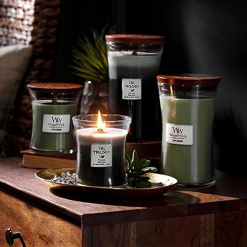 Vue 6 de Woodwick Trilogy Bougie Jarre