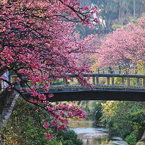 Vue 6 de Glade By Brise Bougie