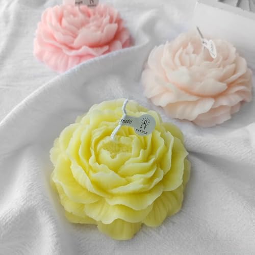 Vue 4 de Bougies Parfumees En Forme