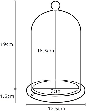 Vue 5 de Lightsfun Cloche En Verre