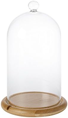 Vue 6 de Lightsfun Cloche En Verre