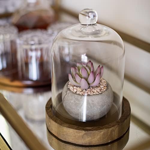 Vue 6 de Stonebriar Cloche En Verre