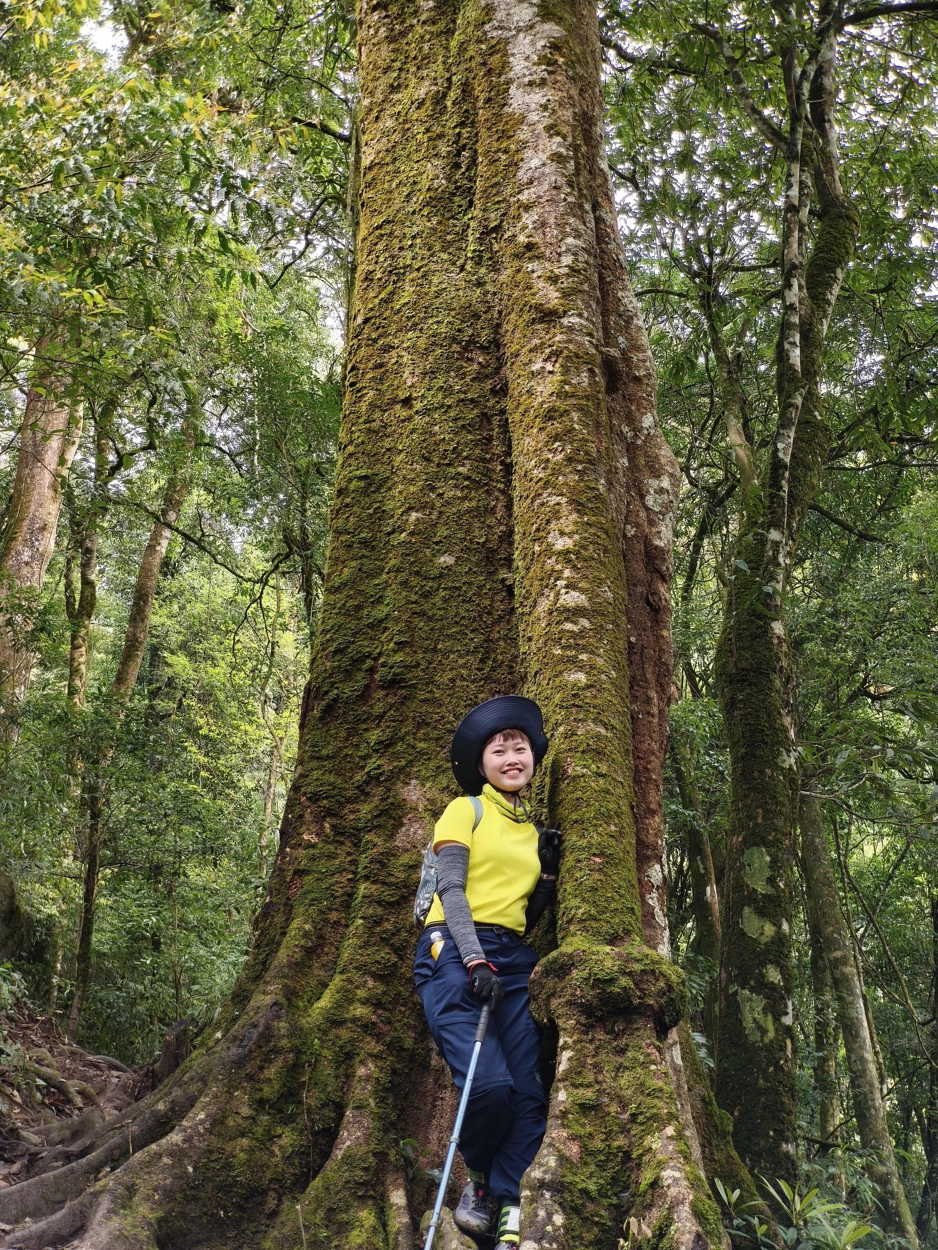 Rừng già Lùng Cúng